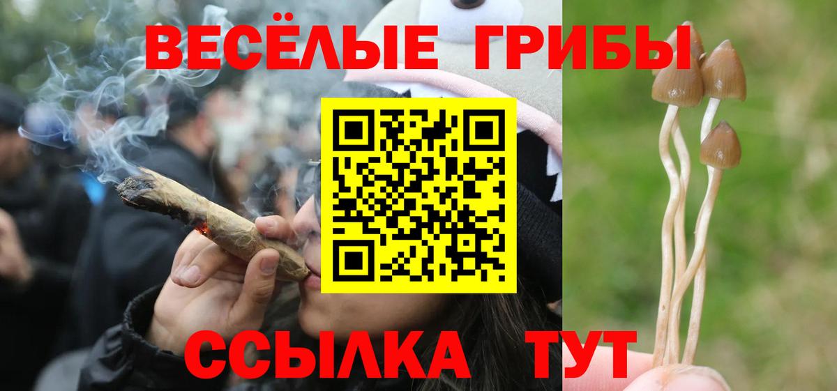 Псилоцибиновые грибы MAGIC MUSHROOMS Кыштым